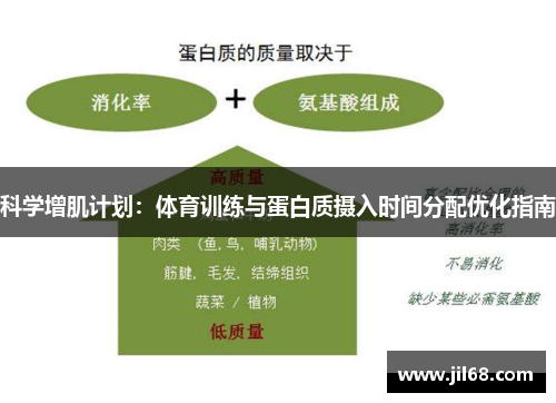 科学增肌计划：体育训练与蛋白质摄入时间分配优化指南